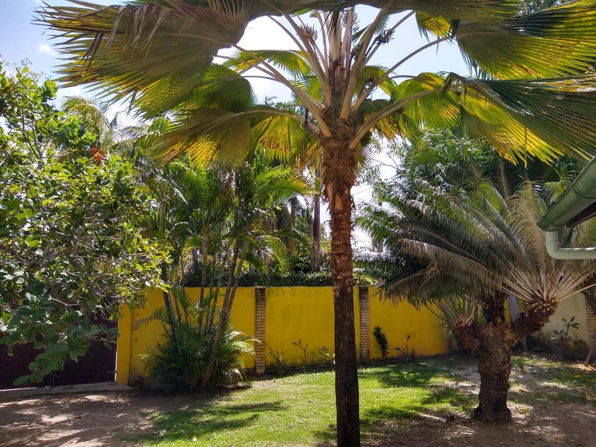 Hotel Pousada Porto Do Colibri Pôrto das Galinhas 외부 사진
